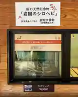 金蛇水神社(宮城県)