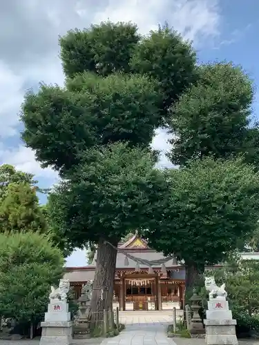 亀ケ池八幡宮の鳥居