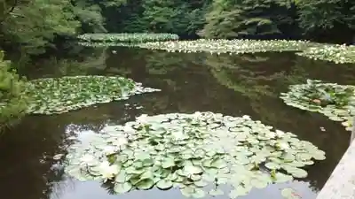 明治神宮(東京都)