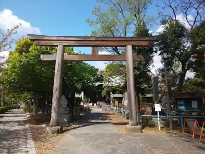荏原神社の鳥居
