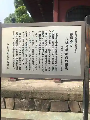 勝福寺の御朱印