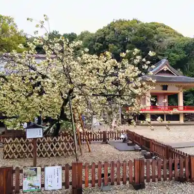 上地八幡宮(愛知県)