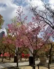 湊川神社の自然