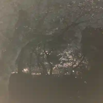 富士山本宮浅間大社(静岡県)