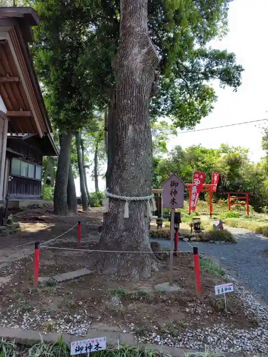 飯福神社(群馬県)