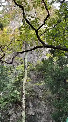 厳竜神社(岩手県)