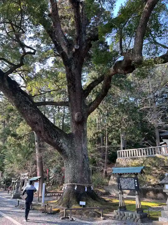事任八幡宮(静岡県)