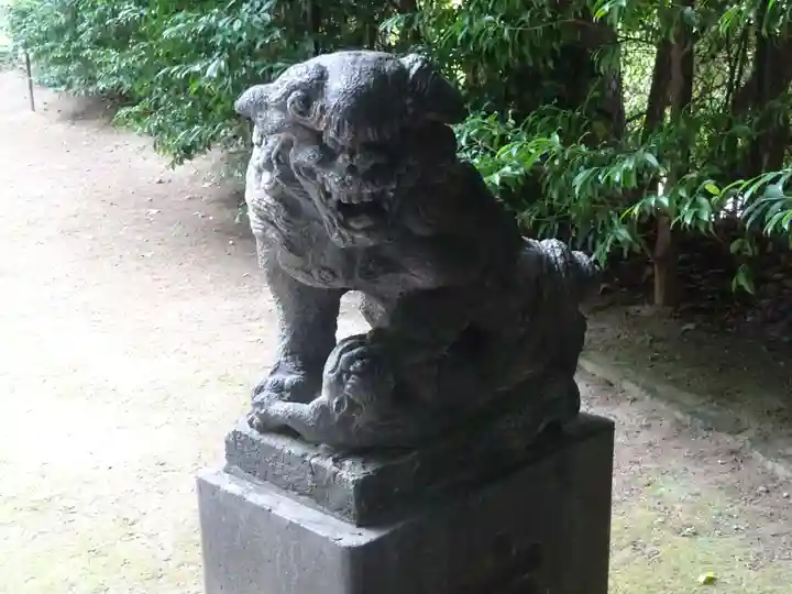 富岡八幡宮の狛犬