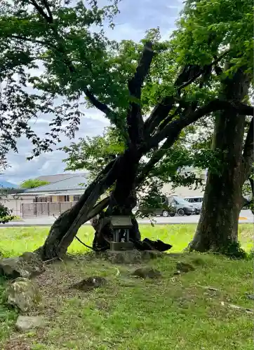 諏訪大社上社前宮(長野県)
