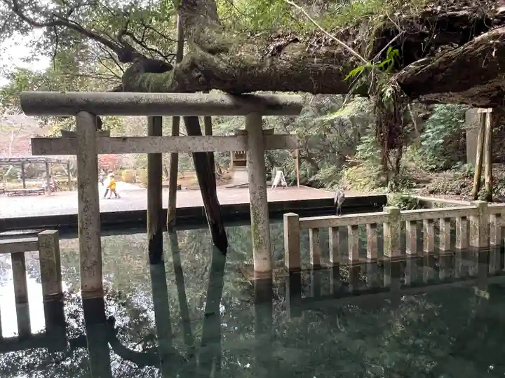 鹿島神宮(茨城県)