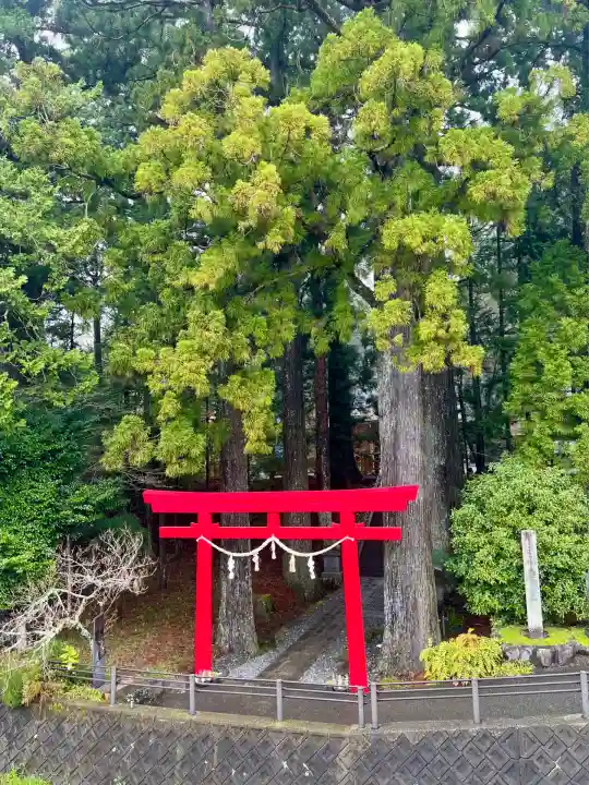 須山浅間神社(静岡県)