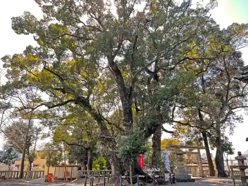 細江神社の自然