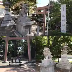 琴似神社の狛犬