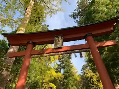岡太神社・大瀧神社の鳥居