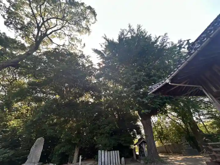 浮嶋神社(愛媛県)