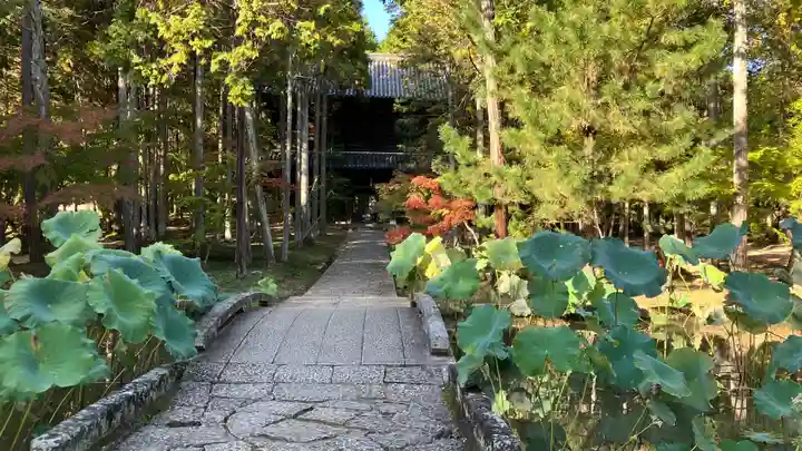 曹源寺(岡山県)