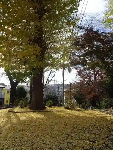 南大谷天神社の自然
