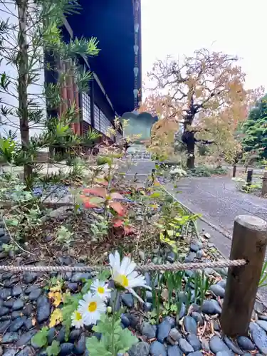 祐正寺の庭園