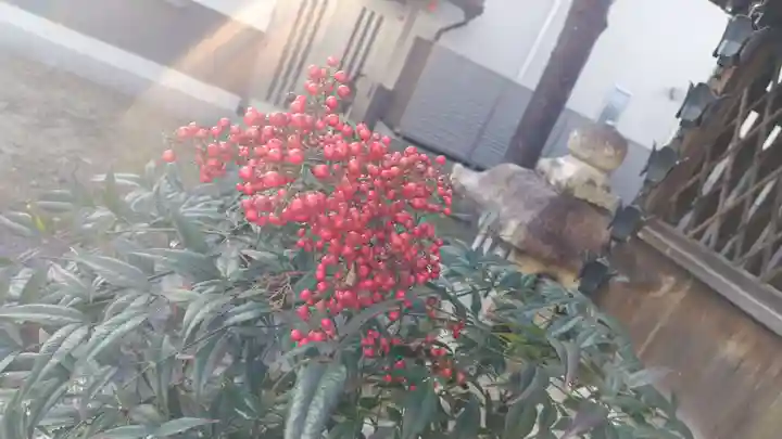出雲路幸神社(京都府)
