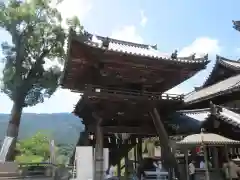 長谷寺(奈良県)