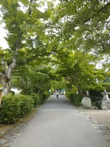 西教寺の建物その他