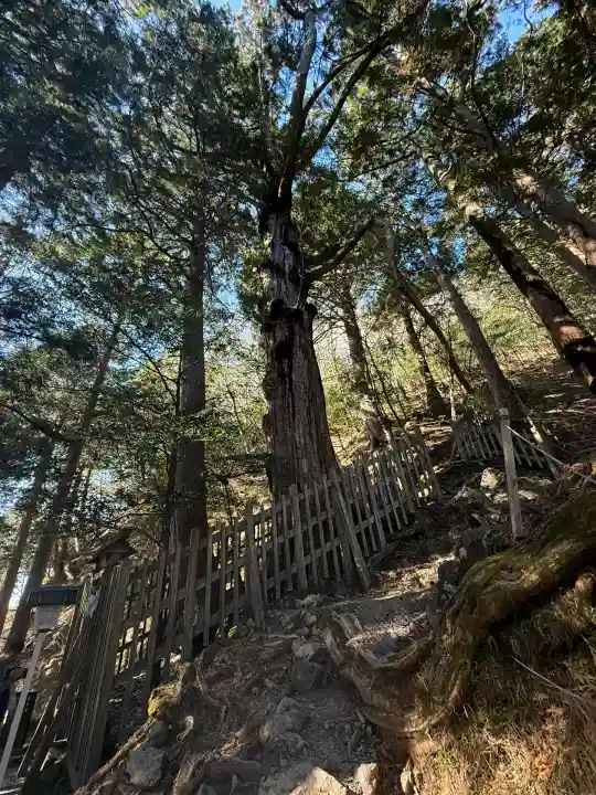 玉置神社(奈良県)