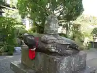 延光寺の狛犬
