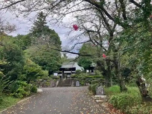 玉泉寺(東京都)