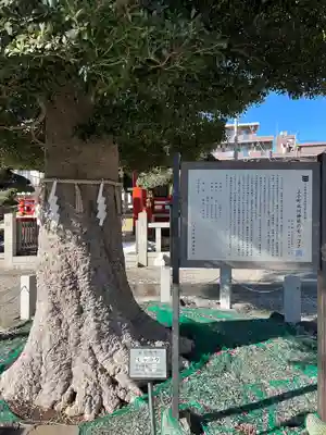 小村田氷川神社(埼玉県)