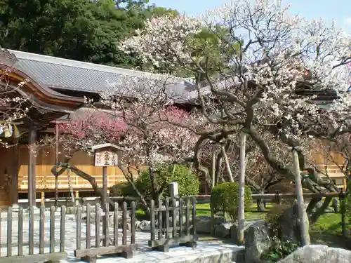 太宰府天満宮の庭園