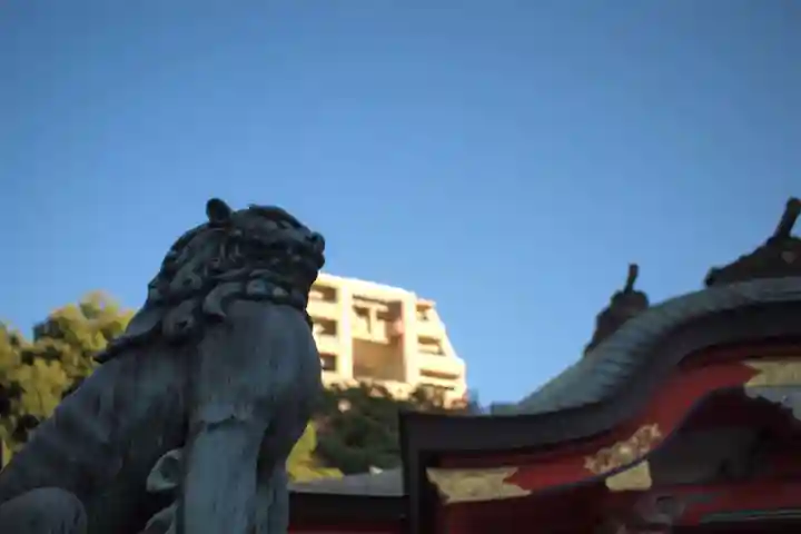 金神社の狛犬