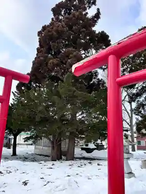 谷好稲荷神社(北海道)