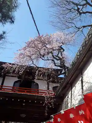 朝護孫子寺(奈良県)