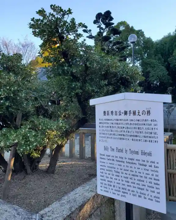 太閤山常泉寺の歴史