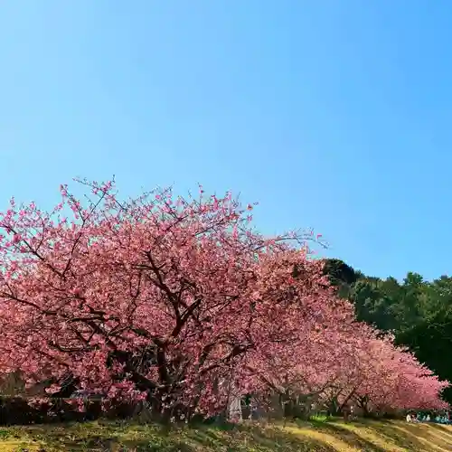 鎌田神明宮の自然