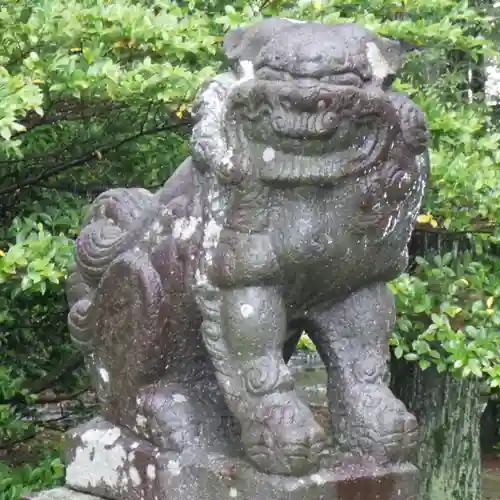 熊野神社の狛犬