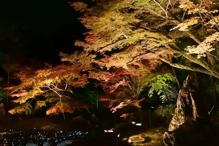 宝厳院(京都府)