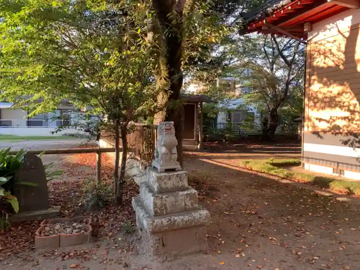 白幡神社の狛犬