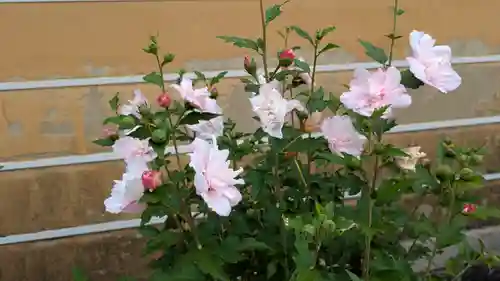 中山寺(兵庫県)