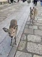 東大寺(奈良県)