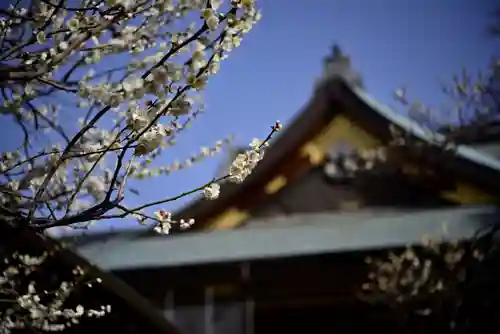 湯島天満宮の景色