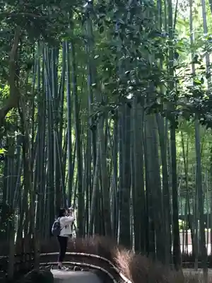 報国寺(神奈川県)