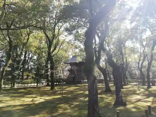 聖福寺の庭園