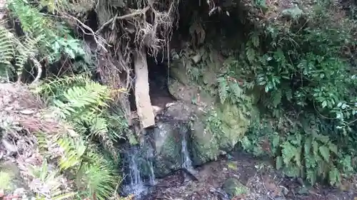 熊野若王子神社の自然