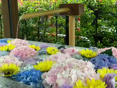 桜神宮の手水舎