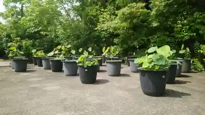 元興寺(奈良県)