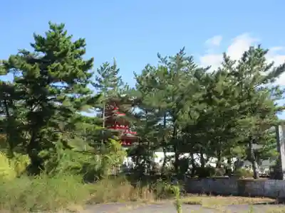 護国寺のその他建物