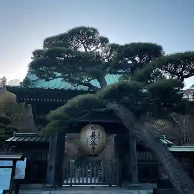 長谷寺(神奈川県)