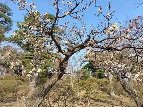 開成山大神宮(福島県)