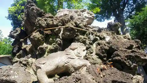 大井氷川神社の狛犬